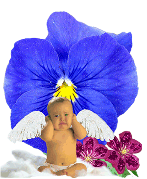   bébé